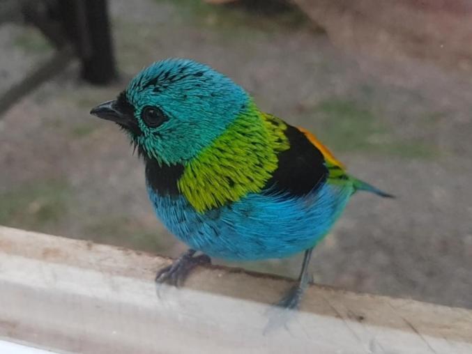 Chale Espelhado No Itaimbezinho Villa Praia Grande  Exteriör bild